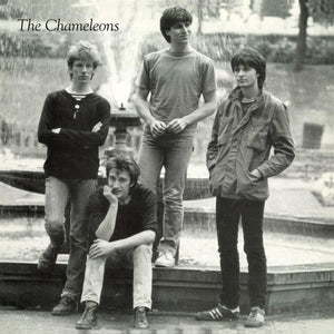 The Chameleons – Tony Fletcher Walked On Water (BAMLP22) 12" Single Purple Vinyl