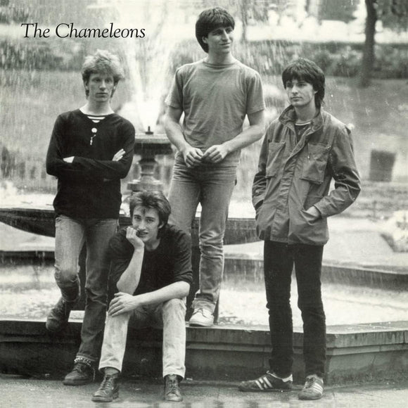 The Chameleons – Tony Fletcher Walked On Water (BAMLP22) 12