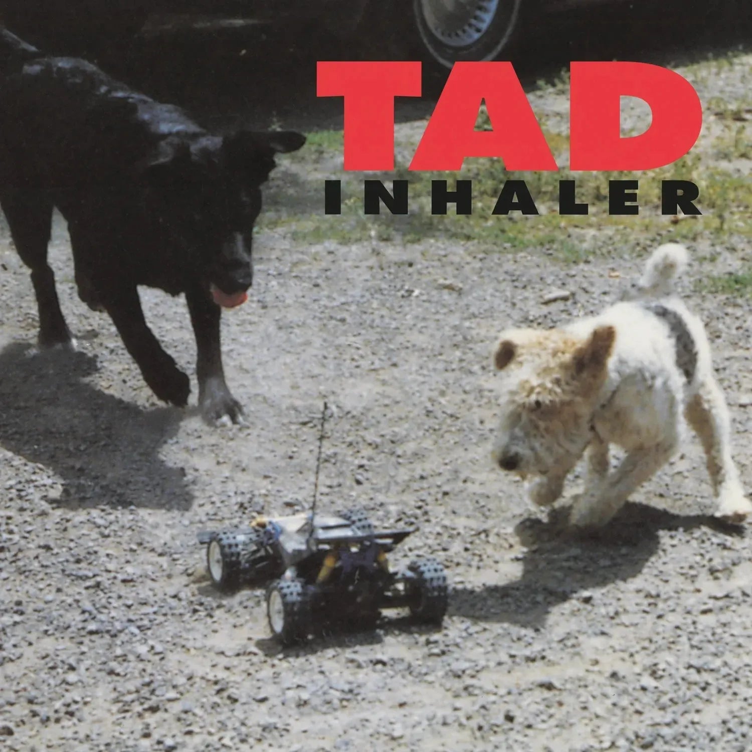 TAD Inhaler vinyl album classic 1993 grunge record produced by J Mascis Dinosaur Jr

