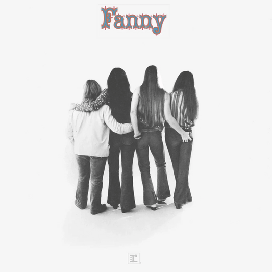 Fanny self titled album LP silver vinyl cover artwork classic 1970 rock band