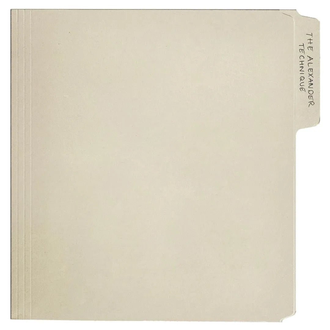 Rex Orange County The Alexander Technique 2 LP vinyl album artwork front cover