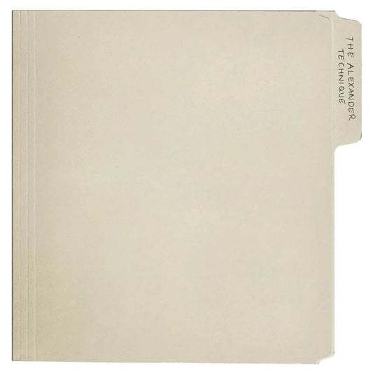 Rex Orange County The Alexander Technique 2 LP vinyl album artwork front cover