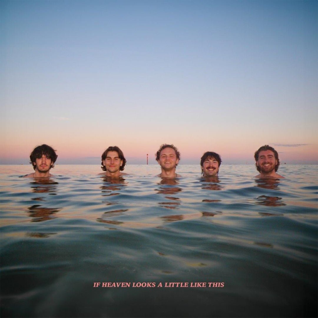 Delights If Heaven Looks A Little Like This debut album CD edition