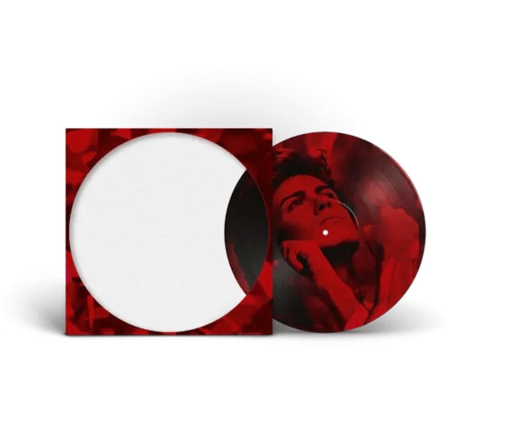 Careless Whisper picture disc vinyl 12 inch George Michael classic pop single