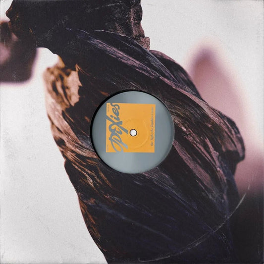 Pixies The Night the Zombies Came LP alternative rock vinyl album cover artwork