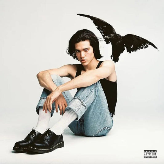 Conan Gray Kid Crow debut studio album cover artwork