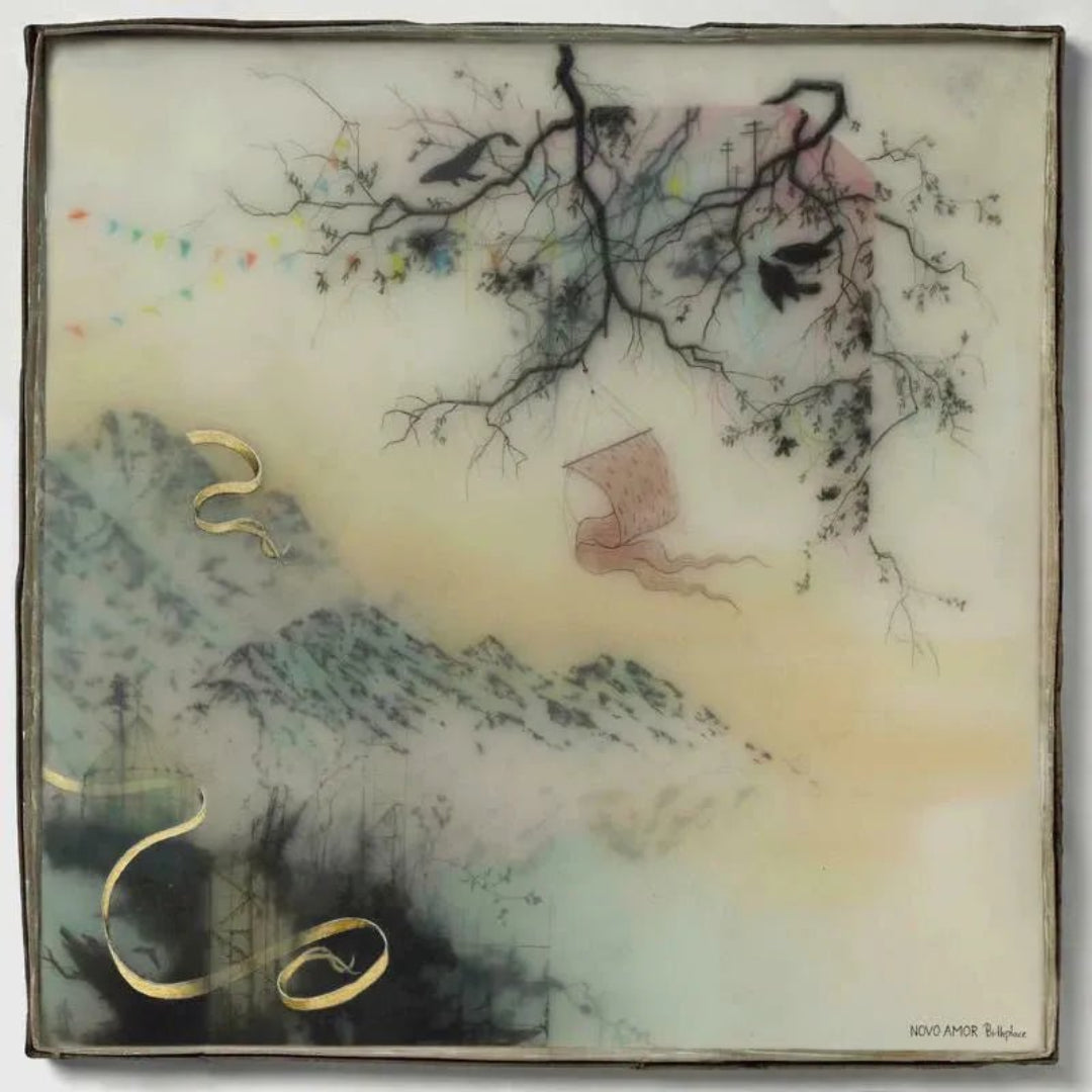 Novo Amor Birthplace CD indie folk album cover artwork