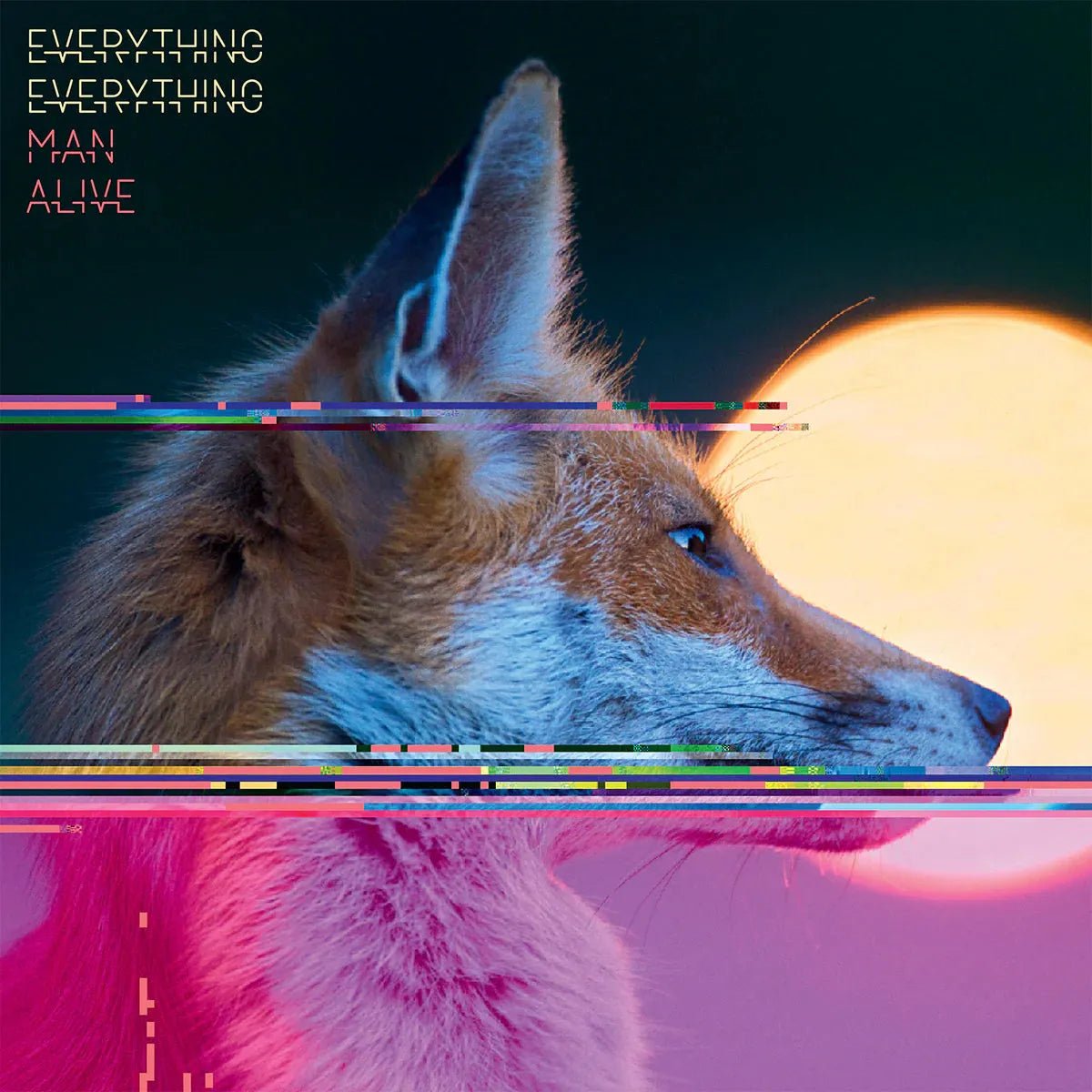 Everything Everything Man Alive LP indie art rock album UK vinyl release