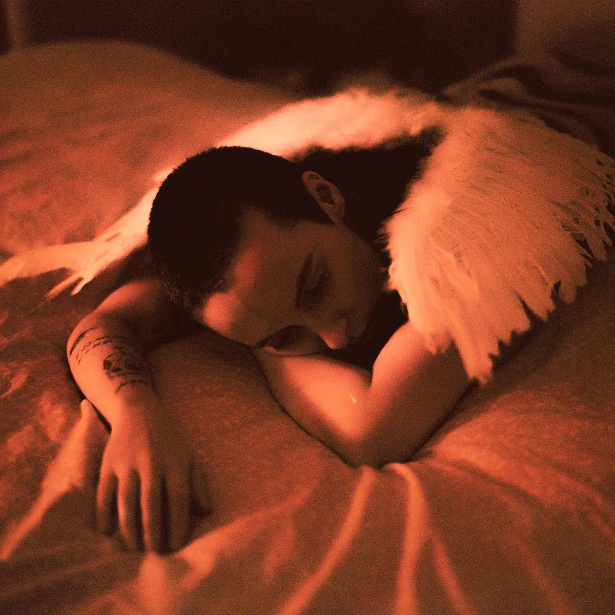 Sea Girls Midnight Butterflies CD indie rock album cover UK release