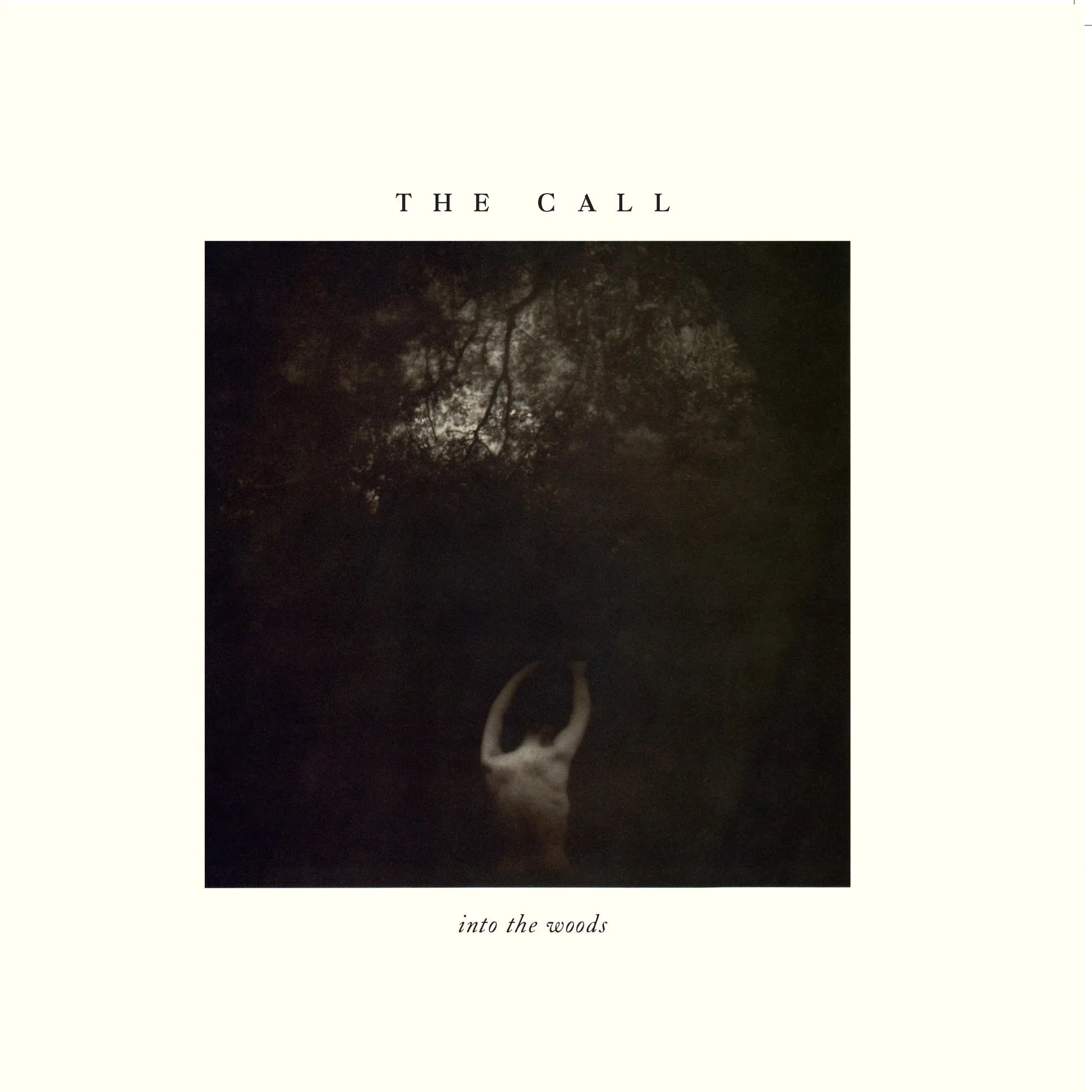 The Call Into The Woods album cover on limited edition white vinyl

