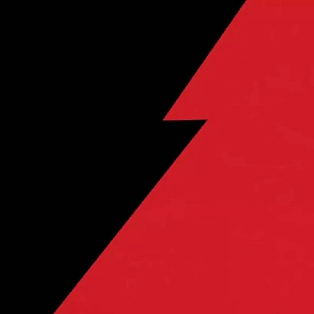 Feeder Black Red 2 CD set alternative rock album cover artwork