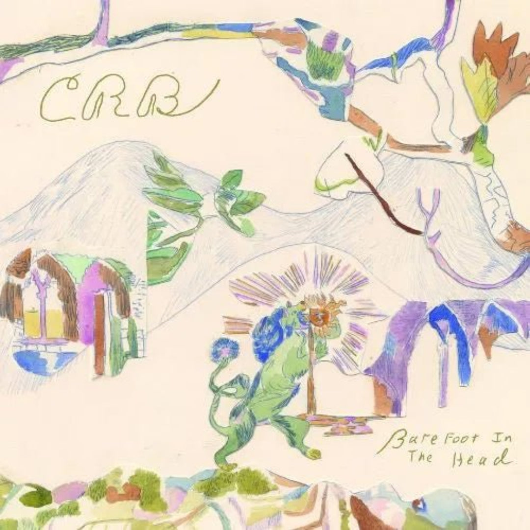 Chris Robinson Brotherhood Barefoot In The Head 2 LP vinyl album artwork