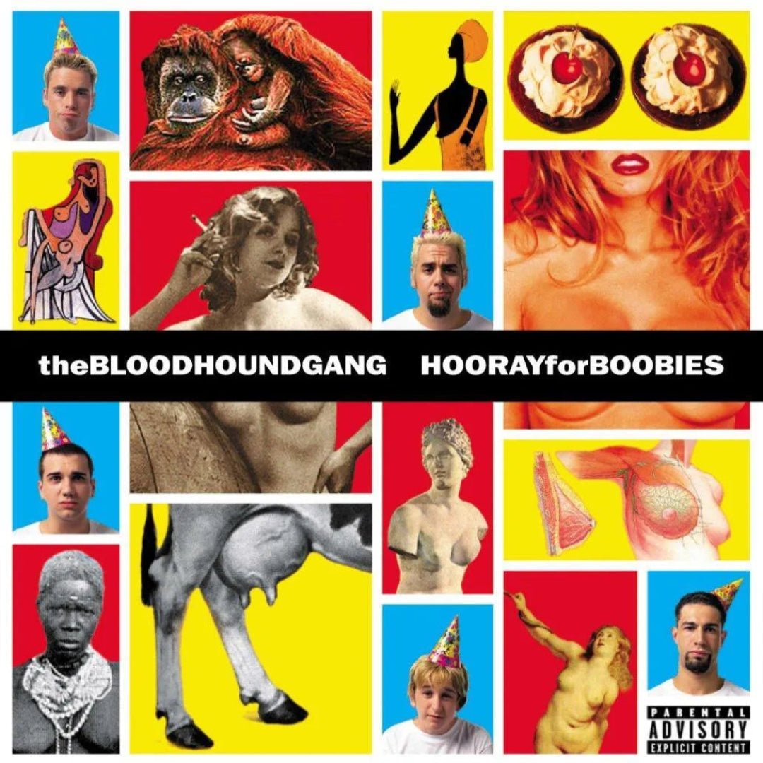 Bloodhound Gang - Hooray For Boobies 25th Anniversary vinyl album cover