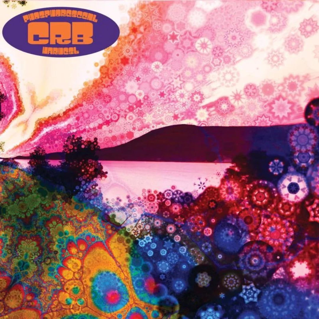 Chris Robinson Brotherhood Phosphorescent Harvest CD psychedelic blues rock