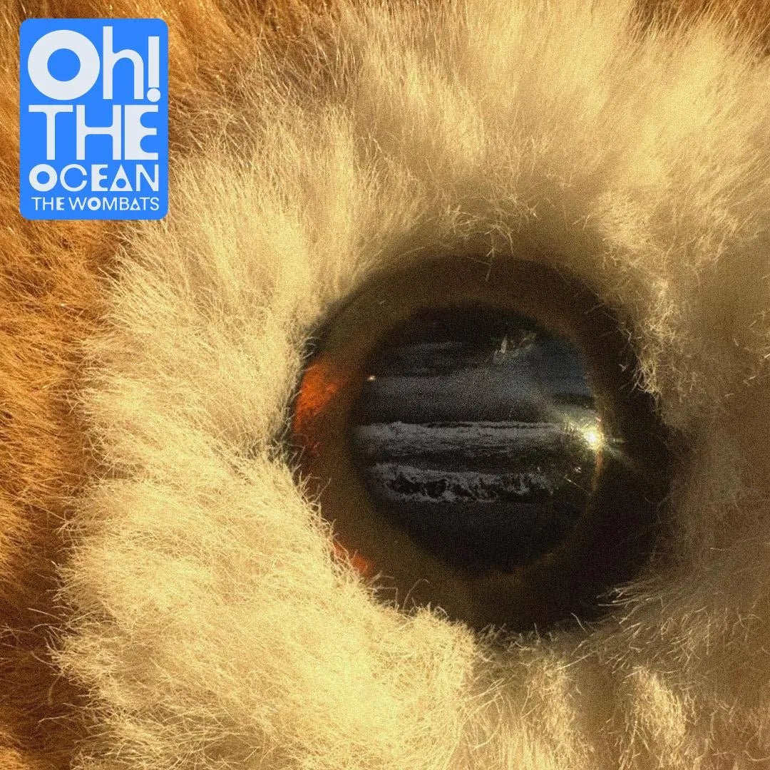 The Wombats Oh The Ocean CD indie pop album cover artwork
