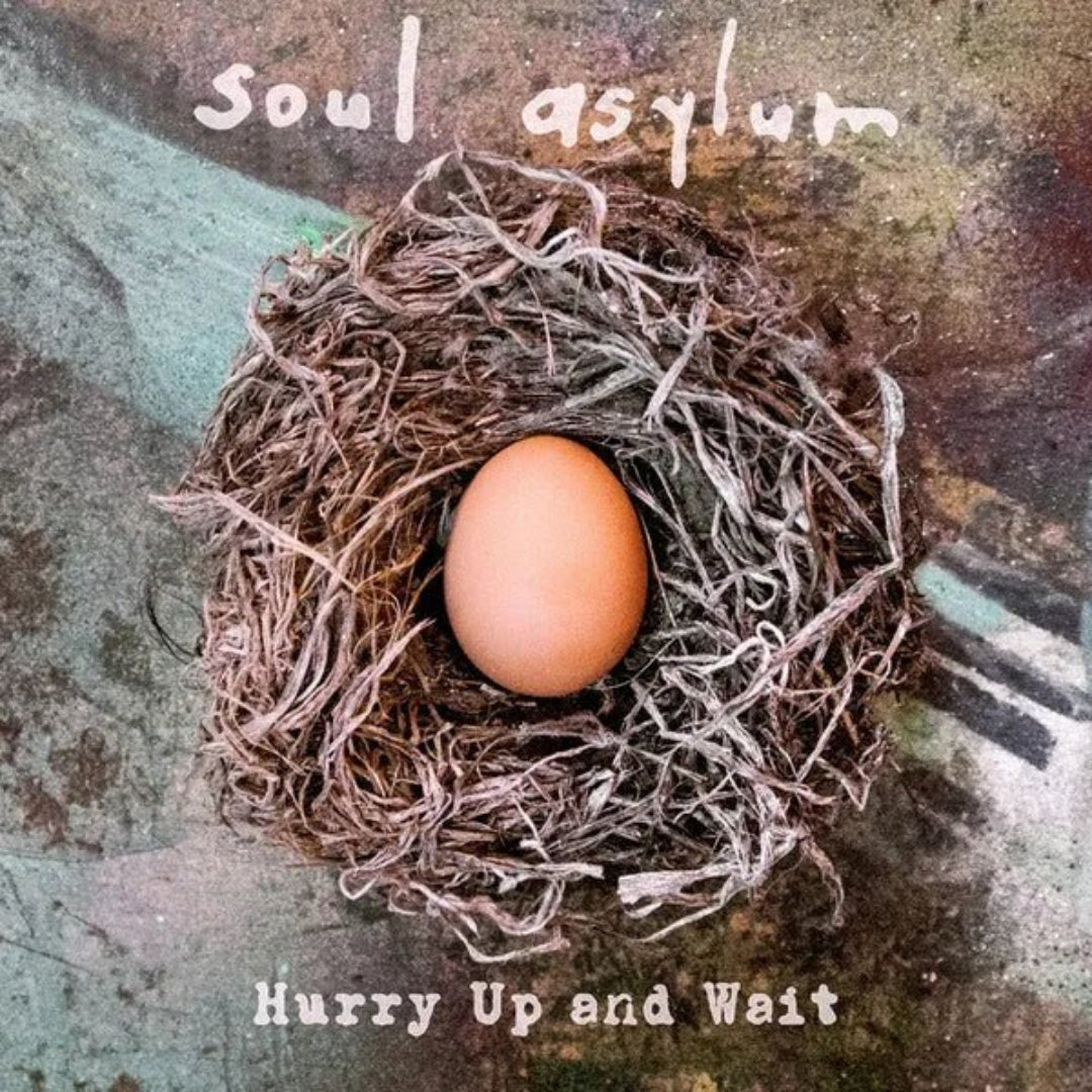 Soul Asylum Hurry Up And Wait 2LP alternative rock album cover