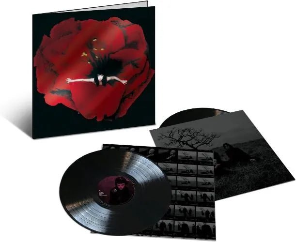 Adore 2LP by The Smashing Pumpkins with dark atmospheric design