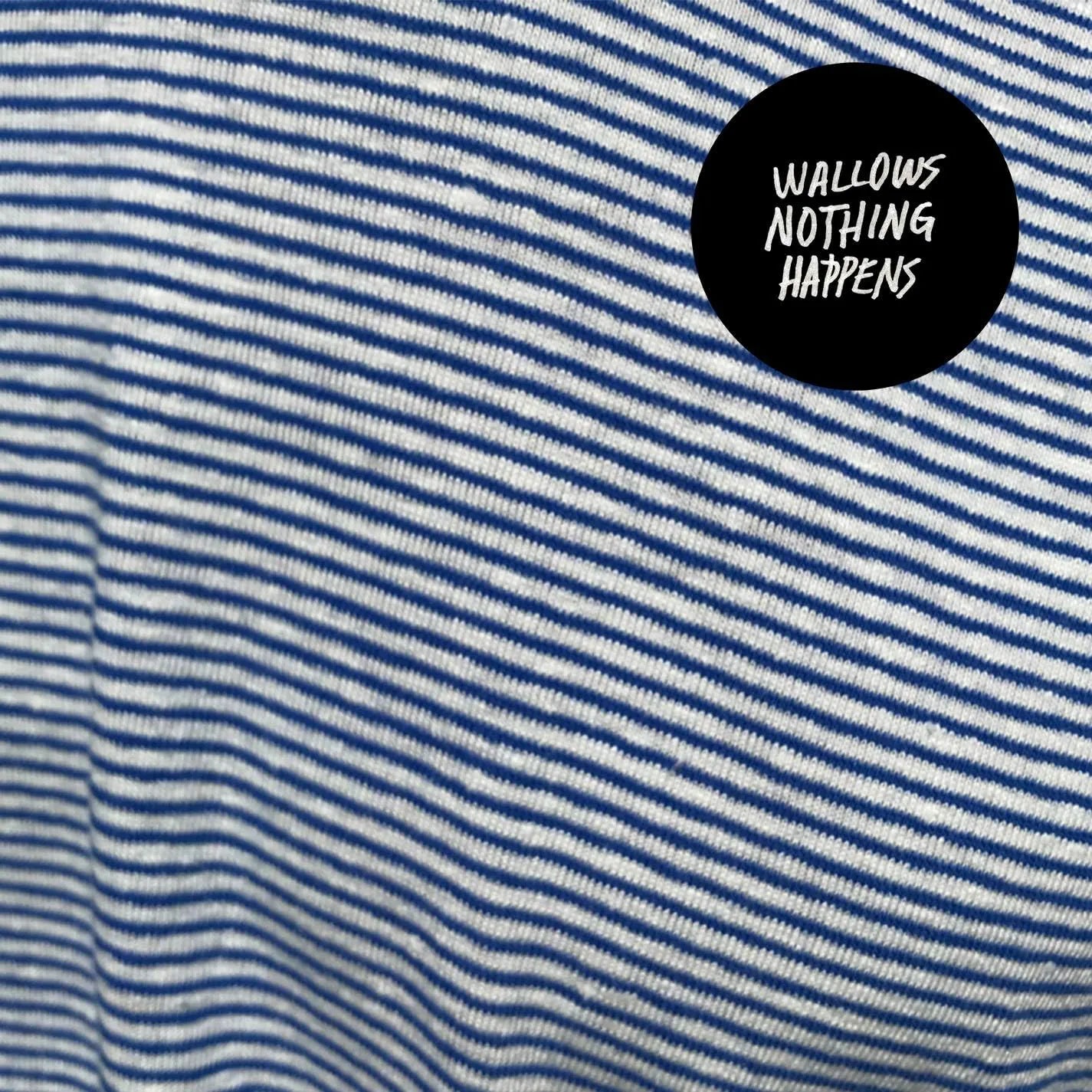 Wallows Nothing Happens CD indie rock album cover artwork