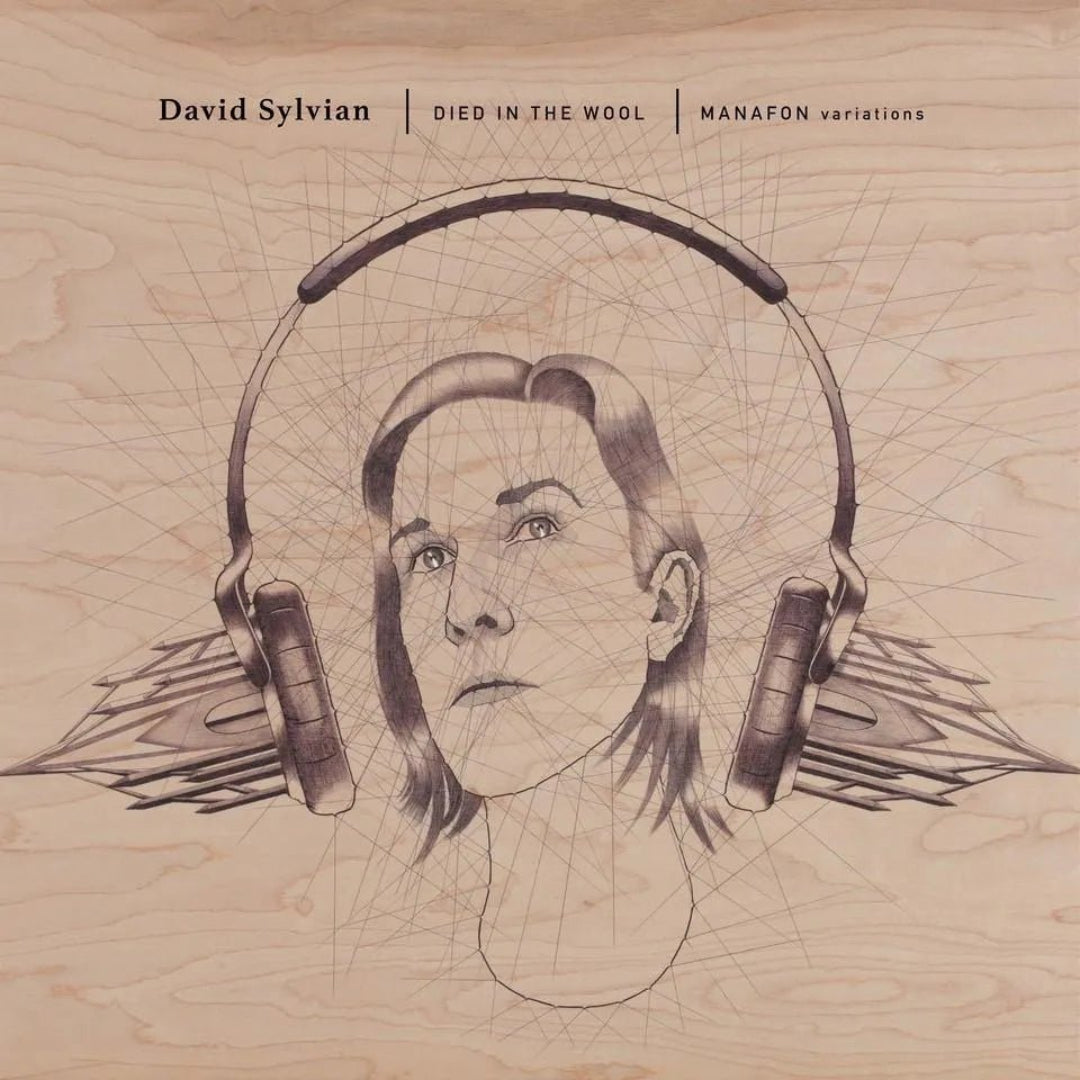 David Sylvian - Died In The Wool: Manafon Variations 2 LP Set - 1 - LP - Orchard Records