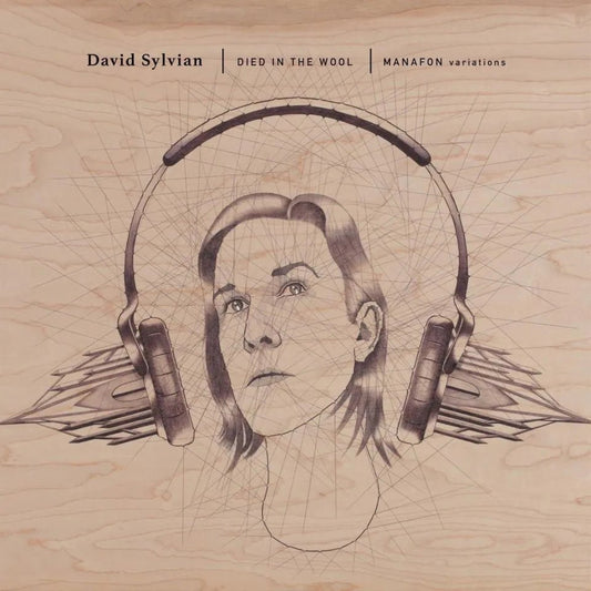 David Sylvian - Died In The Wool: Manafon Variations 2 LP Set - 1 - LP - Orchard Records