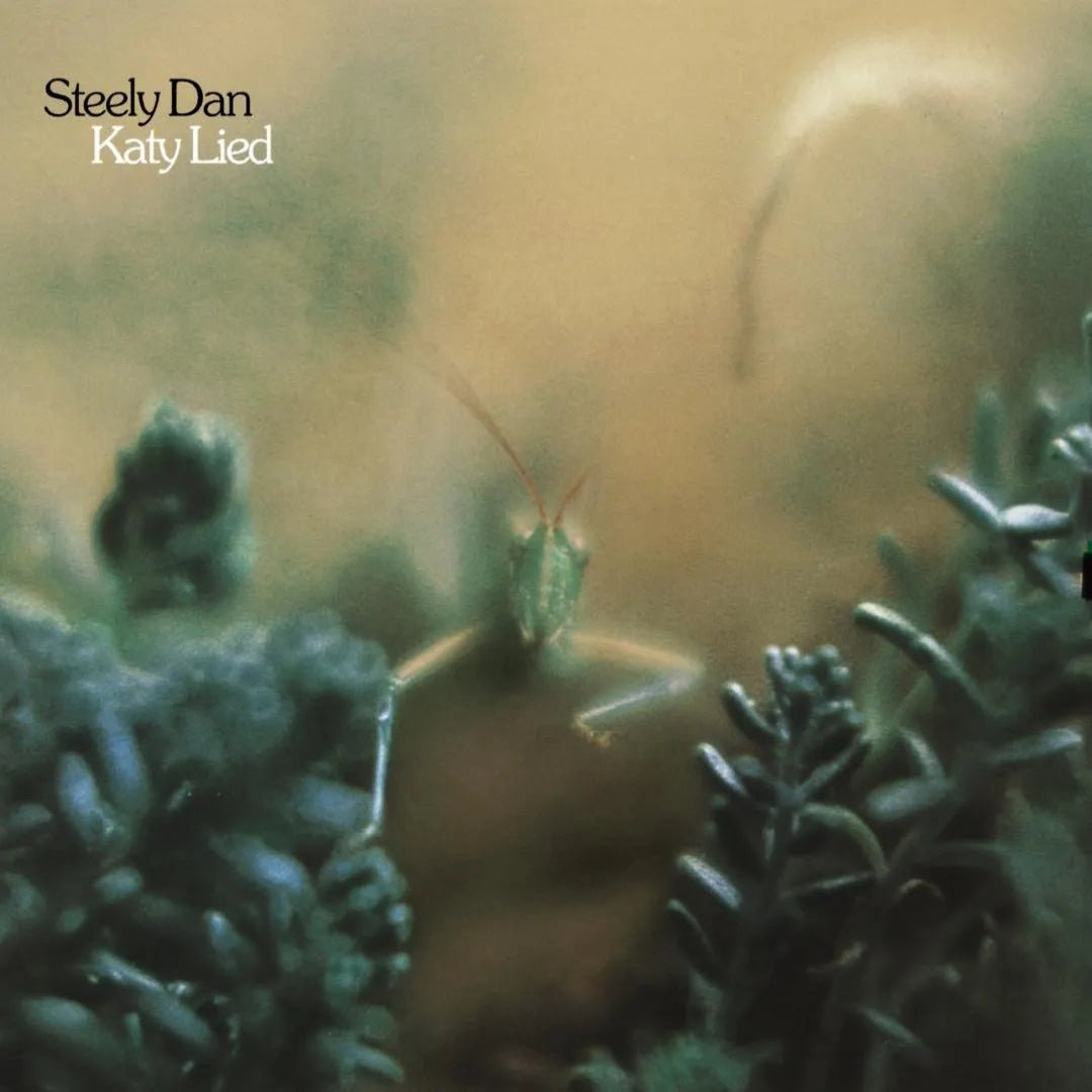 Steely Dan - Katy Lied LP - 1 - LP - Orchard Records