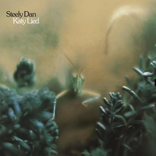 Steely Dan - Katy Lied LP - 1 - LP - Orchard Records