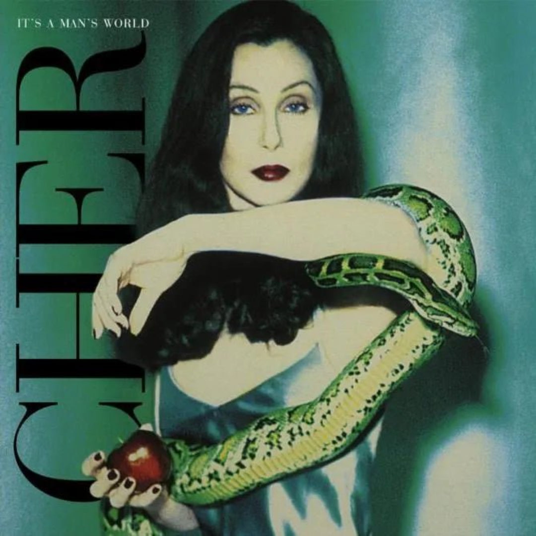Cher Its A Mans World 2LP vinyl album cover classic pop rock gatefold artwork set
