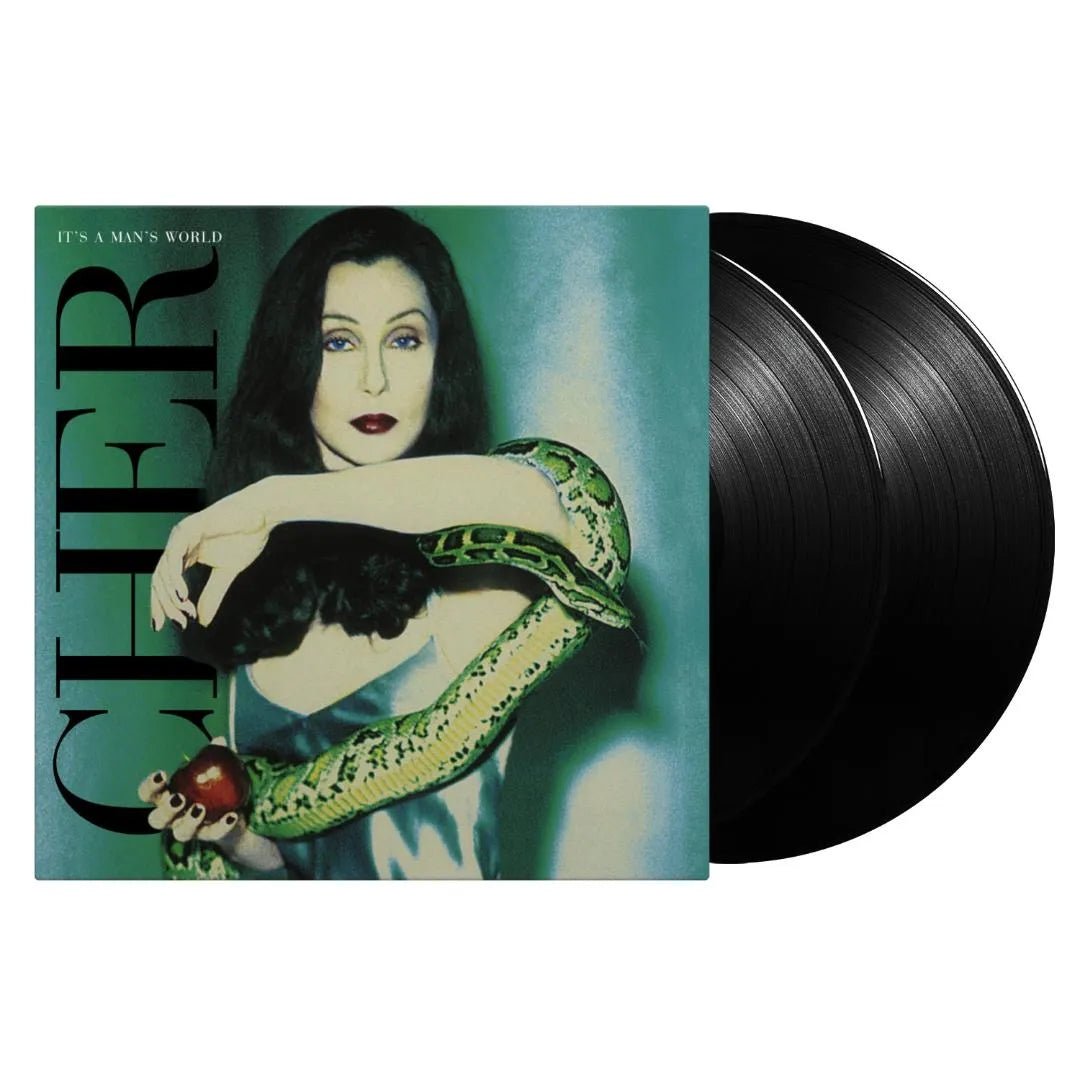 Front cover Cher Its A Mans World double LP album artwork classic 90s vinyl set
