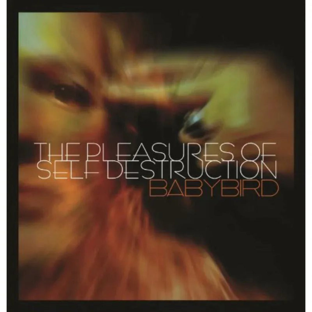 Babybird The Pleasures Of Self Destruction CD front cover with album artwork.