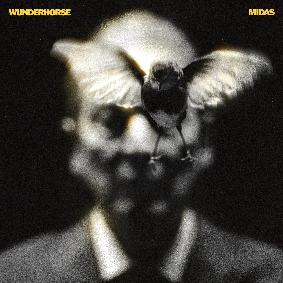 Midas Wunderhorse CD indie rock record