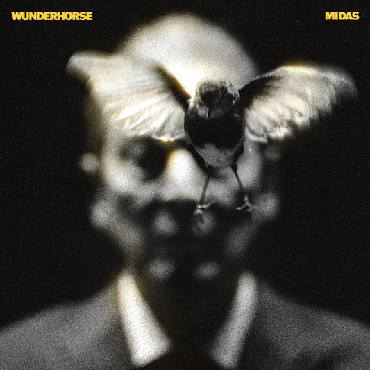 Midas Wunderhorse CD indie rock record