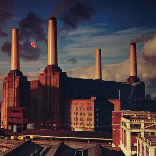 Pink Floyd - Animals LP - 1 - LP - Orchard Records