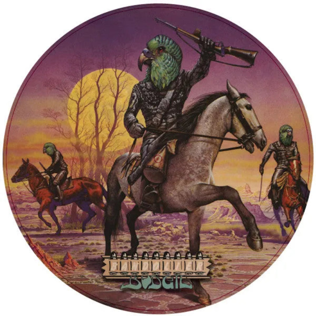 Budgie Bandolier LP Picture Disc classic British hard rock vinyl album collector