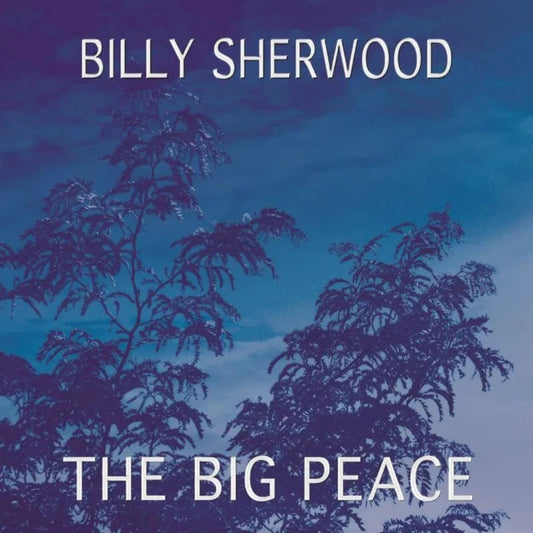 Billy Sherwood The Big Peace CD front cover artwork melodic prog design.