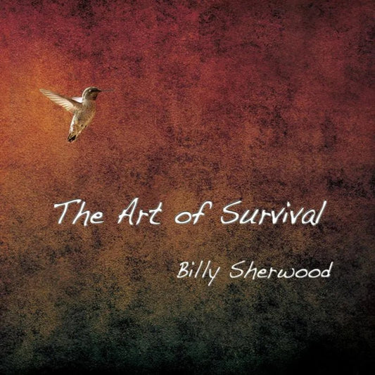 Billy Sherwood The Art Of Survival CD front cover featuring the abstract earth and survival-themed artwork.