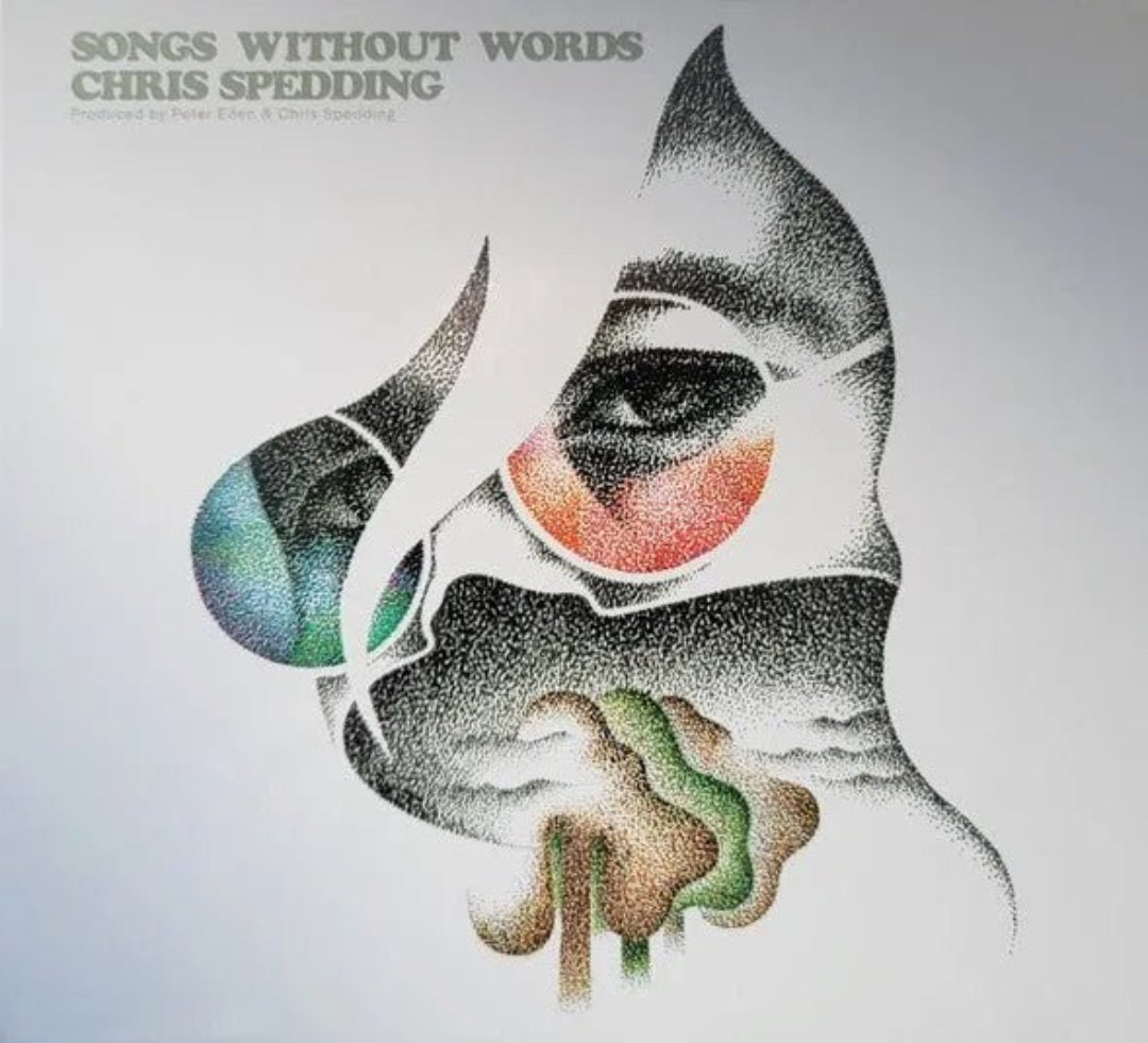 Chris Spedding Songs Without Words CD instrumental rock and jazz fusion guitar album