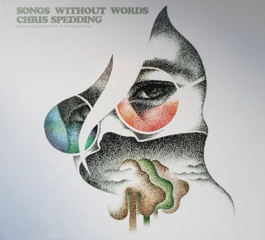 Chris Spedding Songs Without Words CD instrumental rock and jazz fusion guitar album