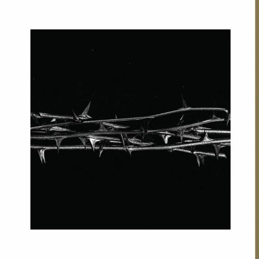 Amenra De Doorn CD album cover post-metal sludge release artwork