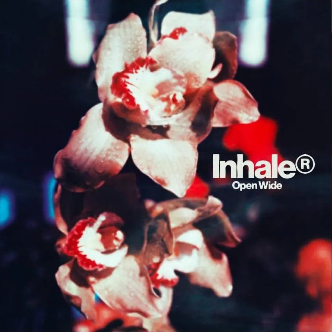 Inhaler Open Wide LP vinyl alternative rock album record