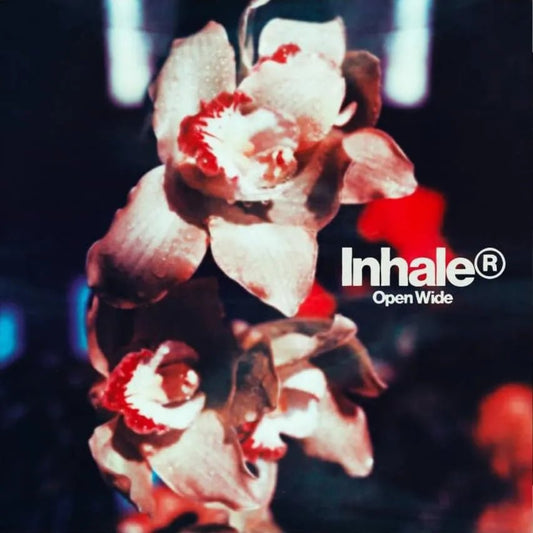 Inhaler Open Wide LP vinyl alternative rock album record