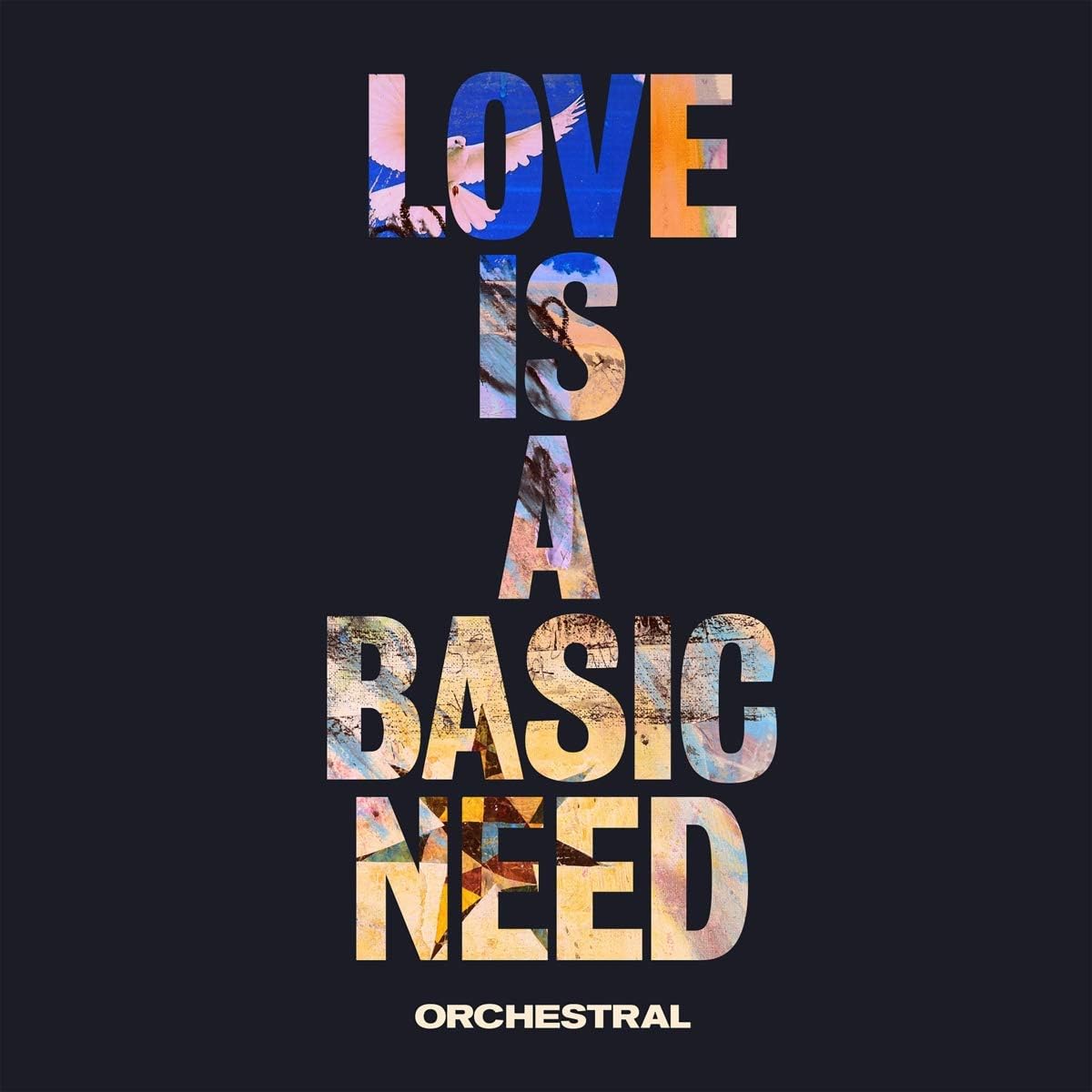 Embrace Love Is A Basic Need Orchestral LP vinyl album cover orchestral rock 2023
