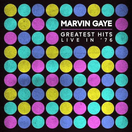 Live performance of Marvin Gaye at Edenhalle Concert Hall, Amsterdam 1976.