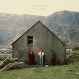Kingfishr Halcyon Debut Album Vinyl Cover
