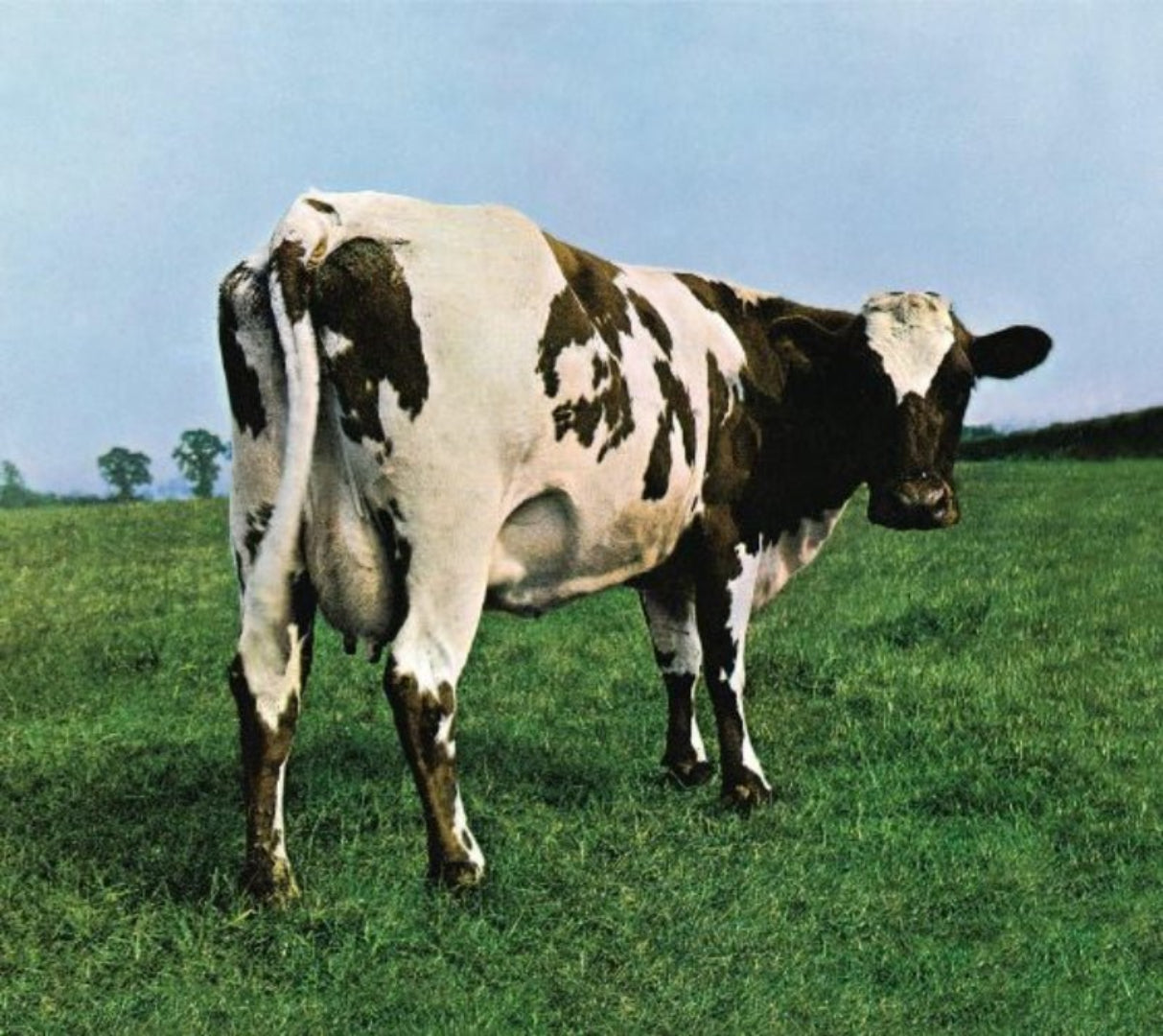 Atom Heart Mother vinyl, Pink Floyd’s first UK #1 and first with orchestra