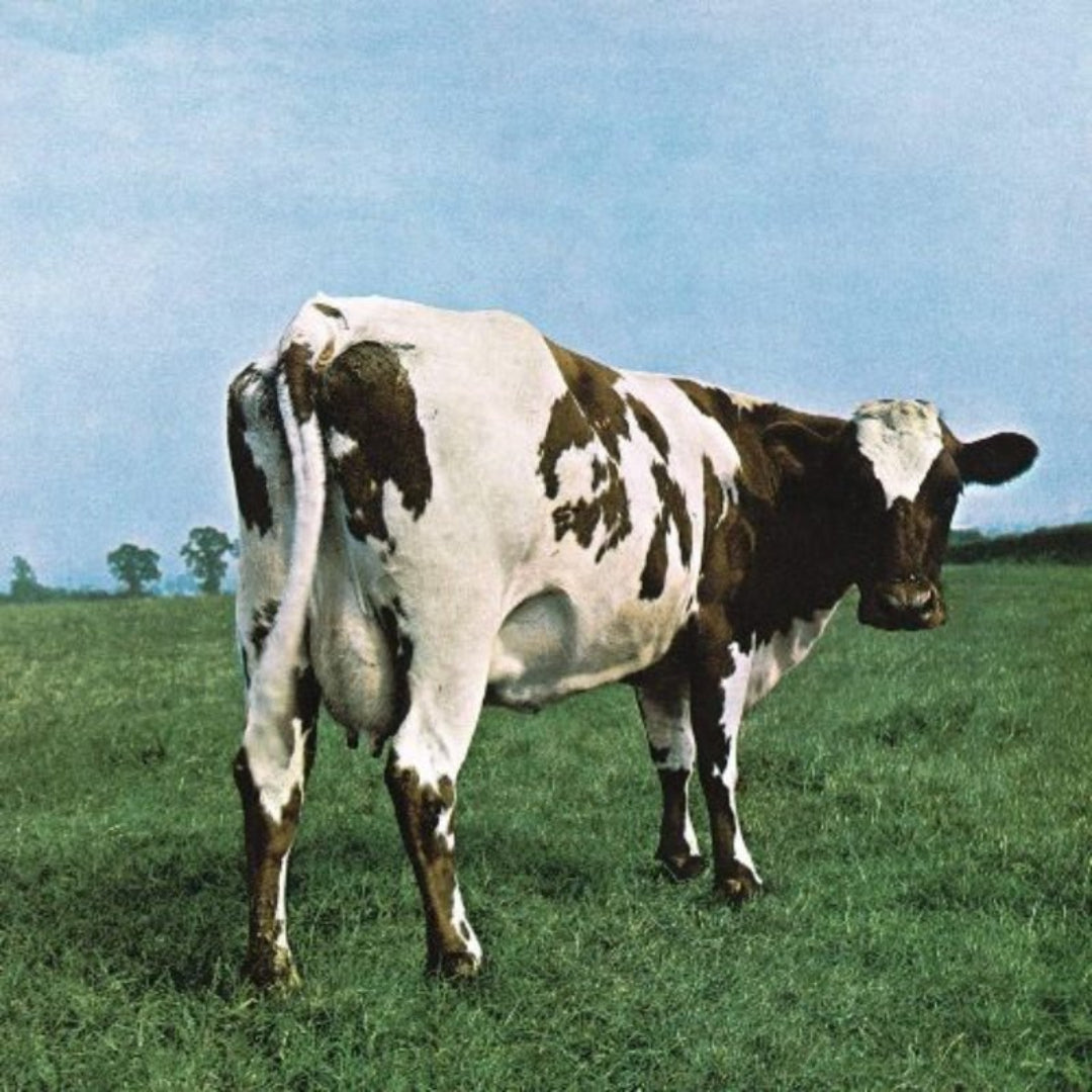 Pink Floyd’s Atom Heart Mother album featuring orchestral arrangements