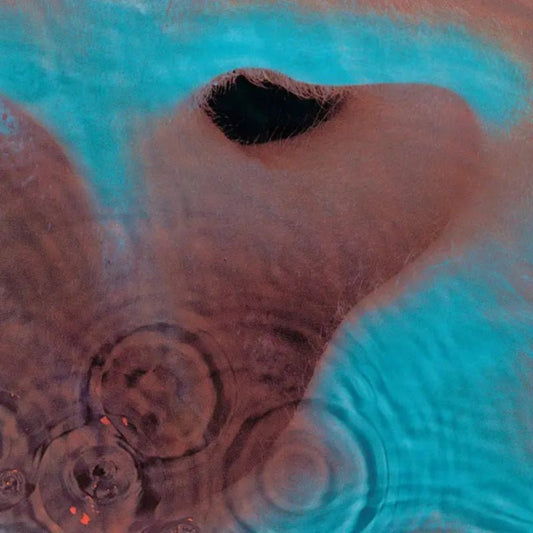 Meddle by Pink Floyd on vinyl, showcasing experimental writing and production