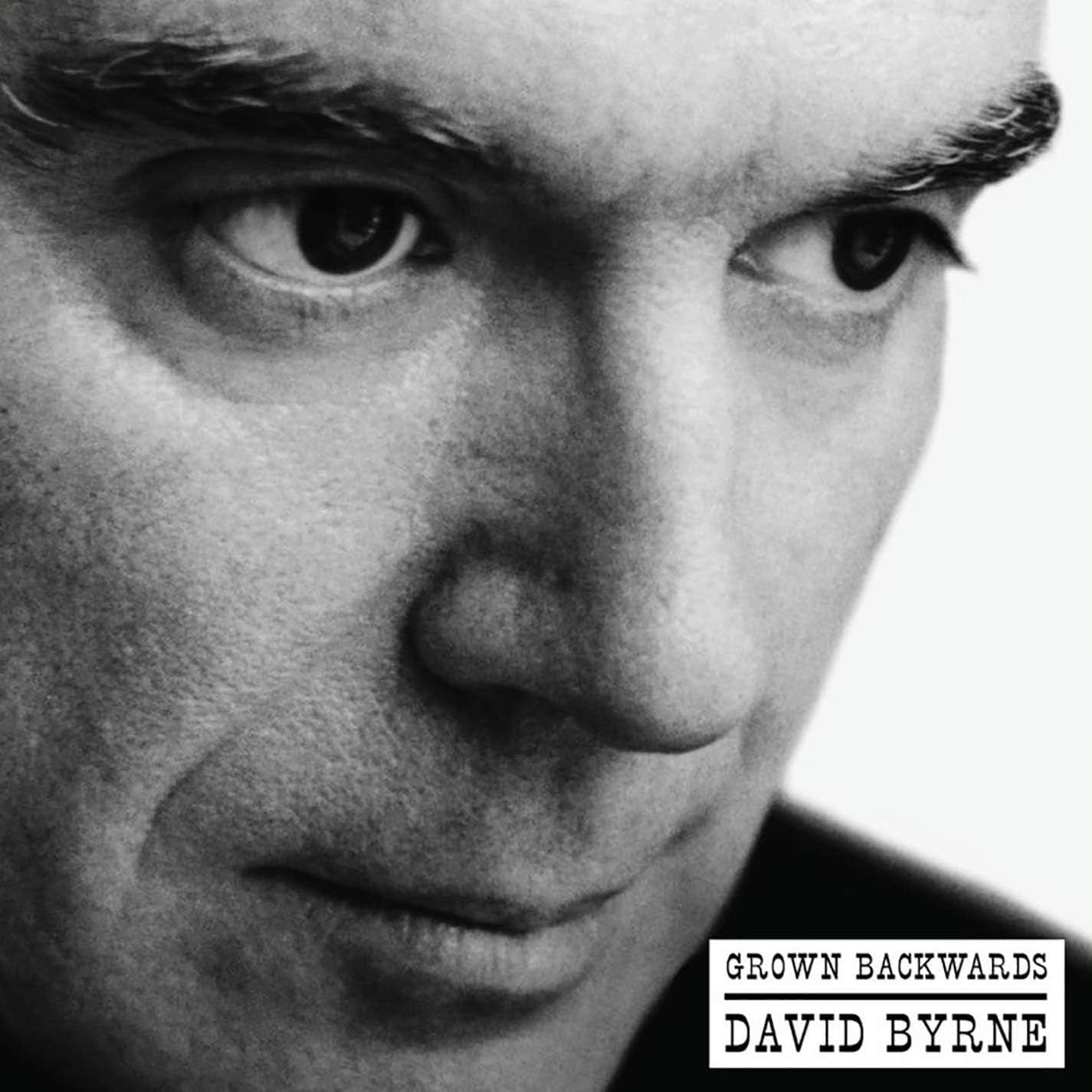 David Byrne Grown Backwards 2LP vinyl art-pop experimental album cover
