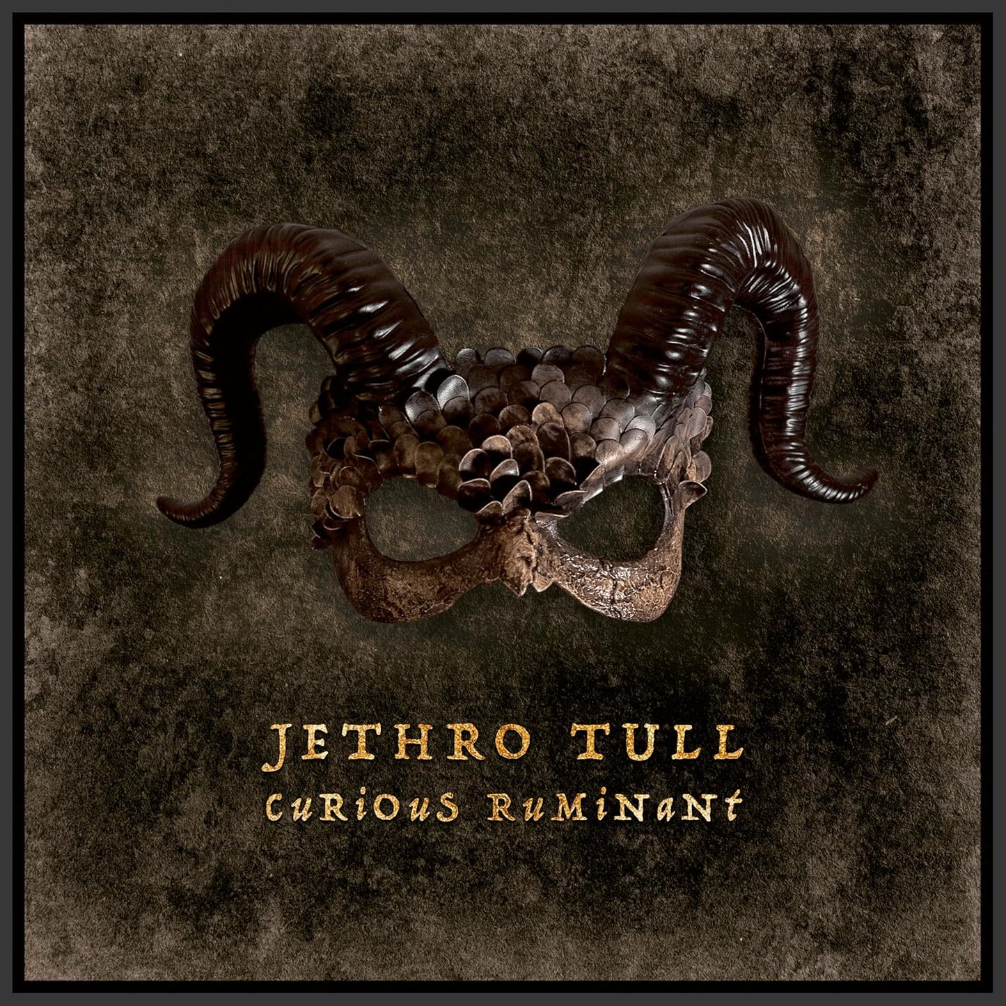 Jethro Tull - Curious Ruminant (IOM738) LP