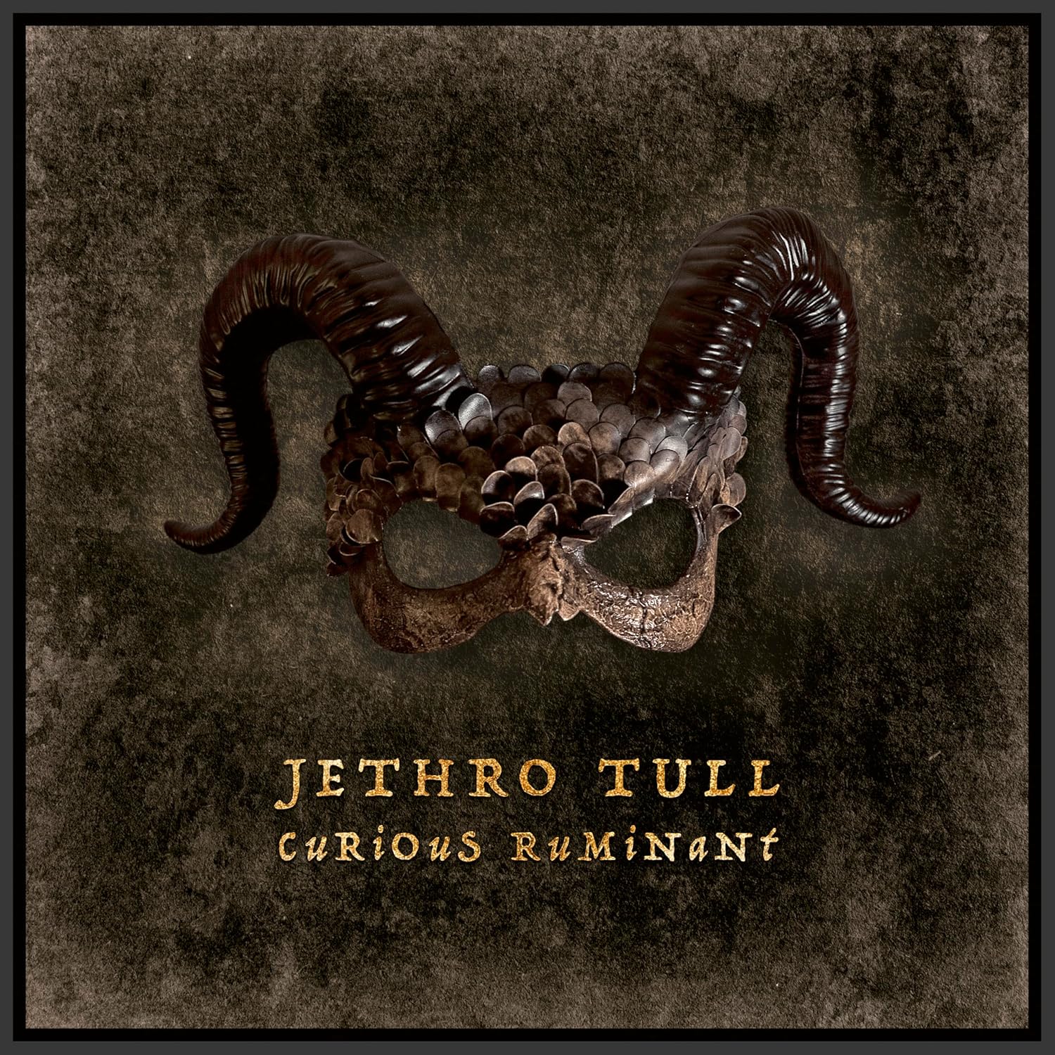 Jethro Tull - Curious Ruminant (IOM738) LP