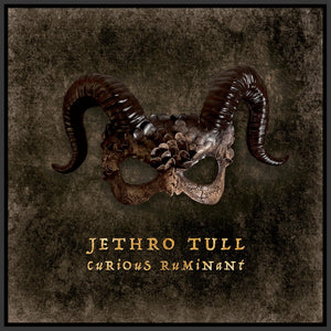 Jethro Tull - Curious Ruminant (IOM738) LP
